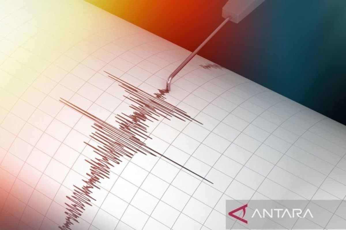 Gempa 5,1 Guncang Buol: Warga Lari ke Lereng, Listrik Padam—Siapa yang Mengawasi Krisis?