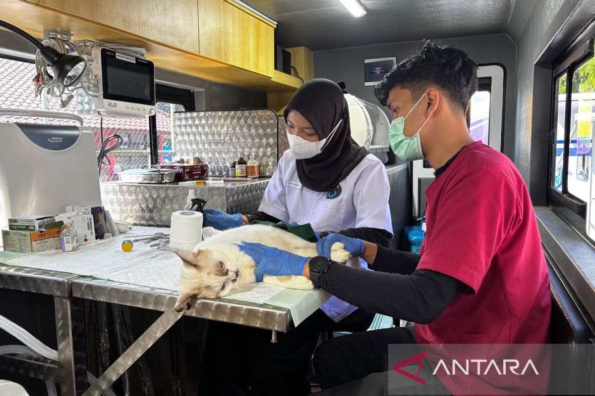 Gubernur DKI Gencarkan Mobil Klinik Hewan, Sterilisasi 23.000 Ekor, dan Alokasikan Rp300 Miliar untuk Pembebasan Lahan – Apa Harga Nyata Kebijakan Ini?
