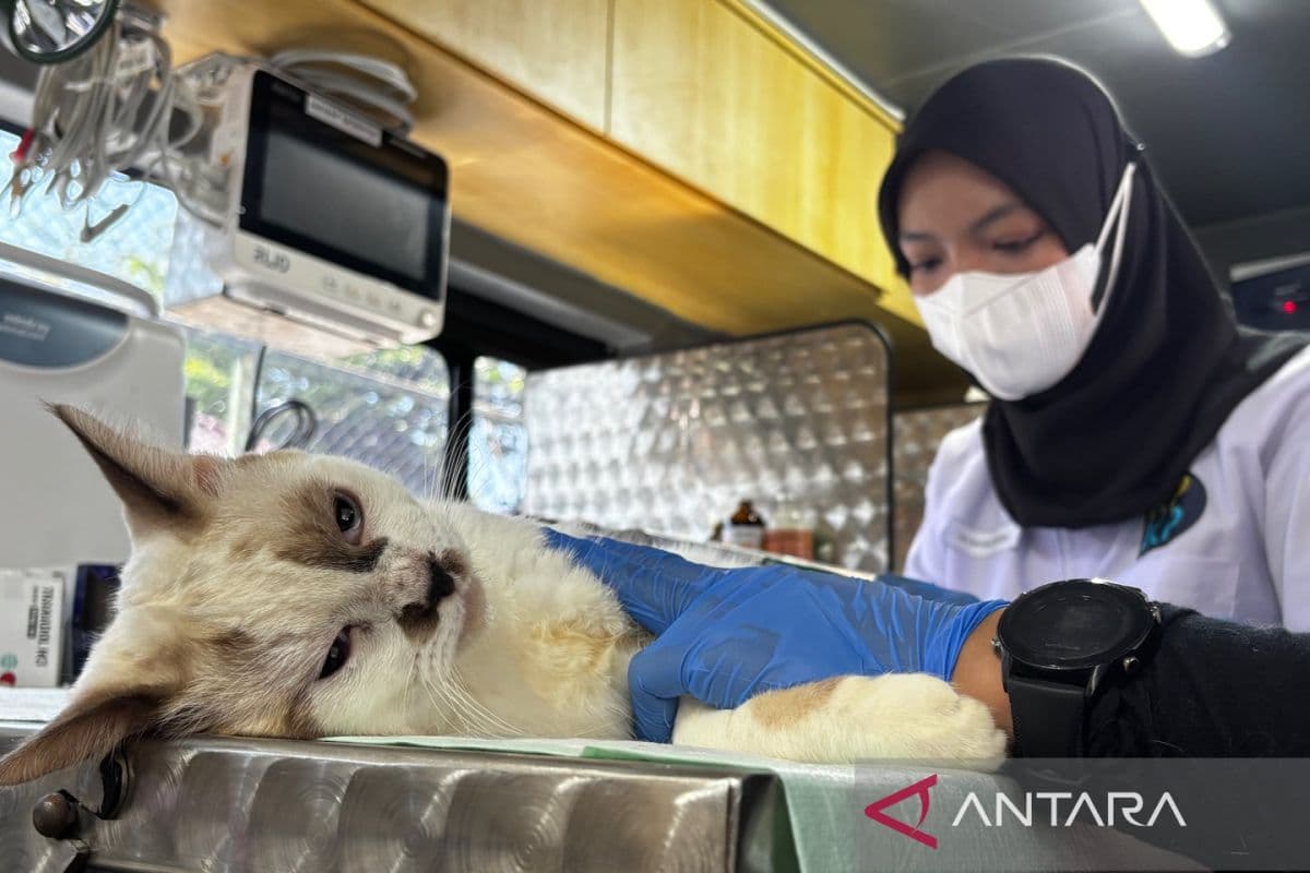 Klinik Hewan Keliling Jakarta: Sekadar Pemenuhan Janji Kampanye atau Solusi Nyata Kesejahteraan Hewan?