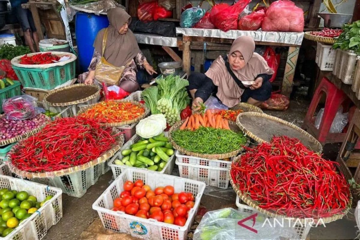 Harga Cabai Meledak, Telur Tembus Rp28.950/kg: Gejala Krisis Pangan Tersembunyi atau Skenario Pasar yang Sengaja Dibiarkan?