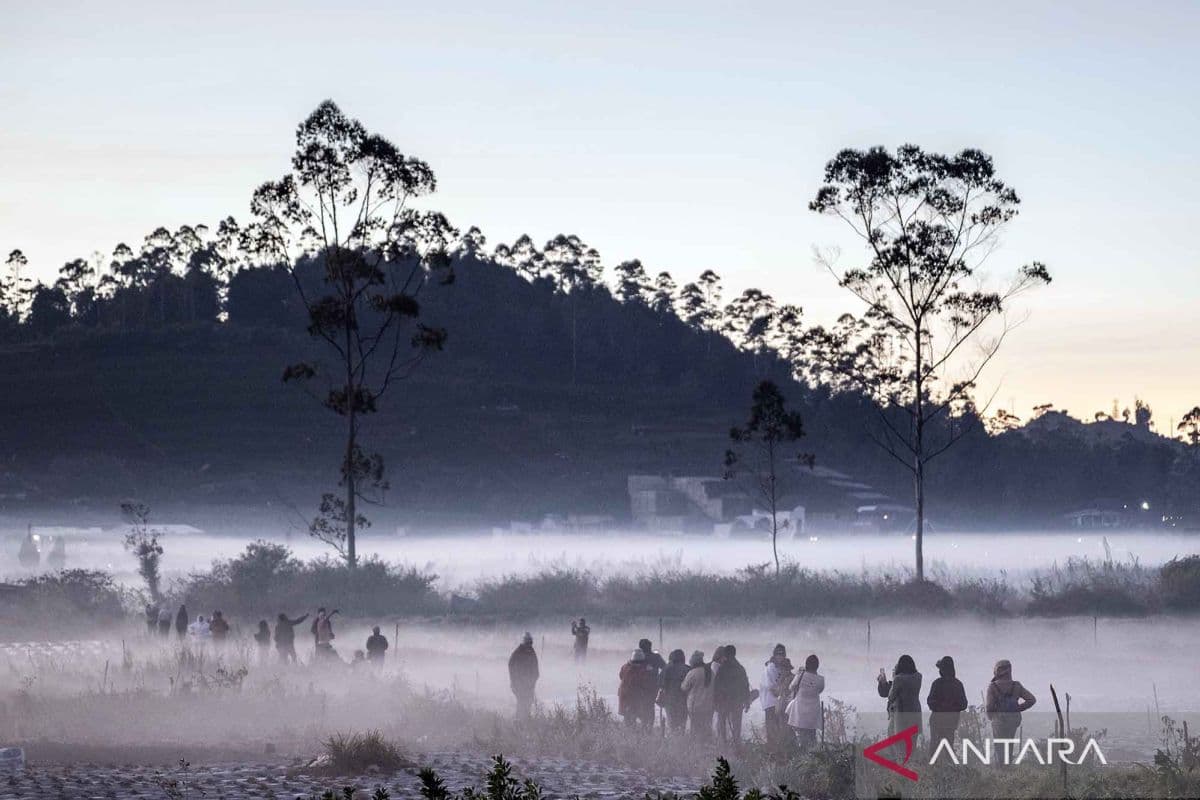 Misteri Embun Beku Dieng: Fenomena Alam atau Daya Tarik Turis Komersial?