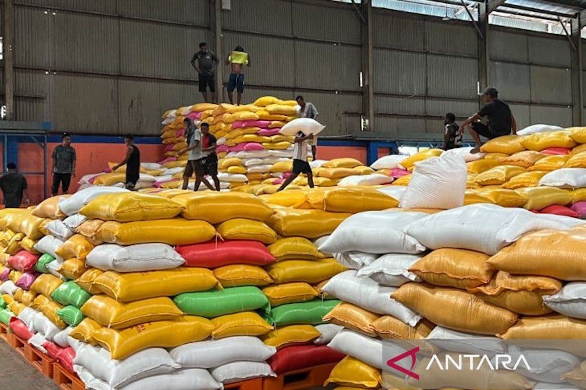 Ekspor 10.000 Ton Beras ke Singapura: Langkah Simbolis atau Sekadar Panggung Politik?