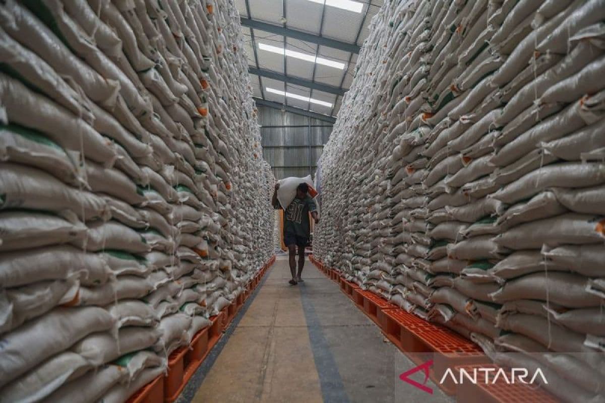 Cadangan Beras 5,2 Juta Ton, Tapi Apakah Ini Jaminan Ketahanan Pangan Sejati di Tengah El Nino dan Ketergantungan Struktural?