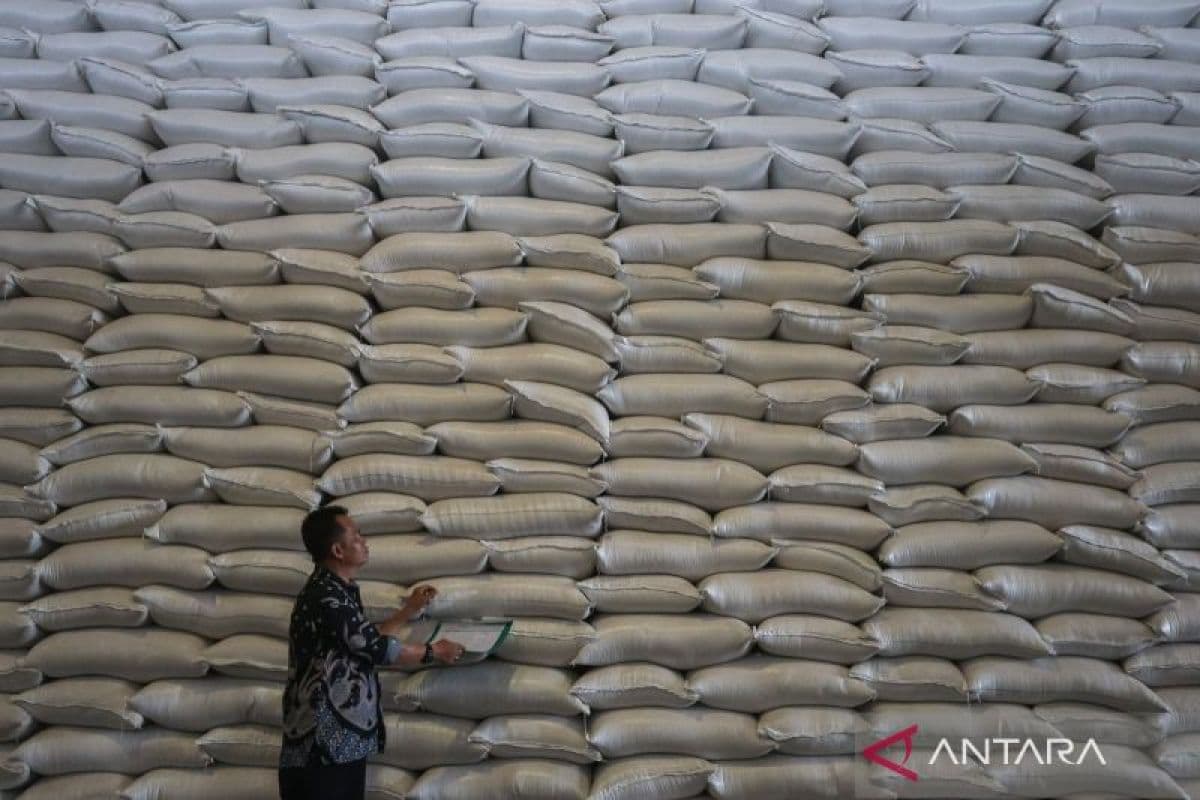 Peringatan Kritis: Cadangan Pangan Indonesia Terancam El‑Nino, Pemerintah Harus Bertindak Sekarang!
