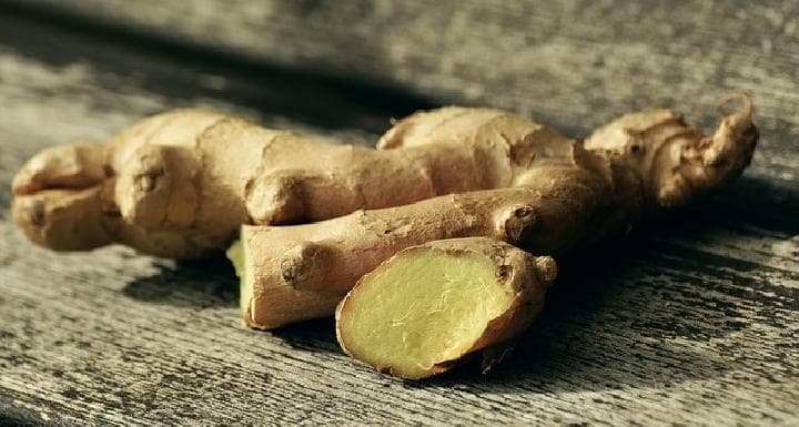 Ginger Waste Could Power the Future: BRIN's Breakthrough in Biobriquette Tech!