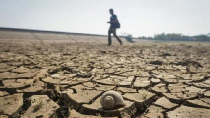 Drought Alert di Jawa Barat: Data BMKG, AI, dan Apa Artinya untuk Teknologi Pertanian